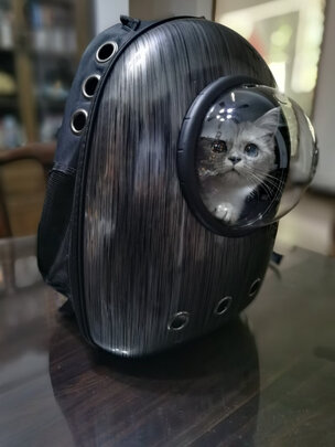 宠物包