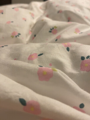 京东京造95抗菌鹅绒被 1.8m 1700g一个月后开始后悔了诉说原因