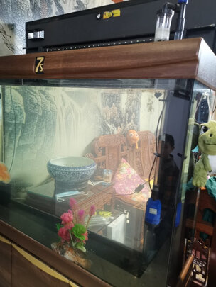 鱼缸换水器