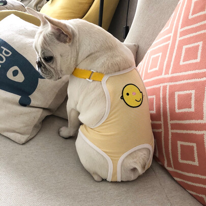 狗狗生理裤
