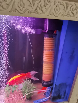 鱼缸潜水泵