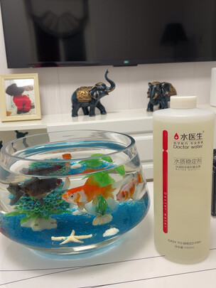 鱼缸硝化细菌