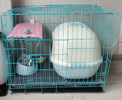  猫笼