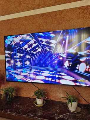 TCL75L8电视|tcl 75l8和V2有什么区别？参考细节区别是？