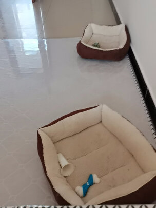 猫窝