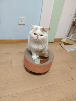 狗狗剃毛器