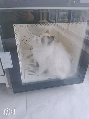  宠物烘干箱