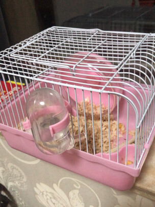 仓鼠水壶