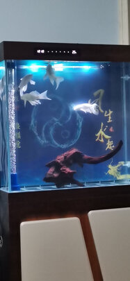 鱼缸水草灯