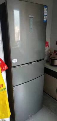 冰箱|海尔BCD-253WDPDU1到底怎么样，参数如何！