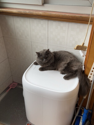 猫砂盆
