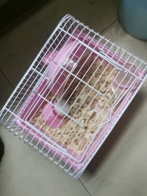 仓鼠水壶