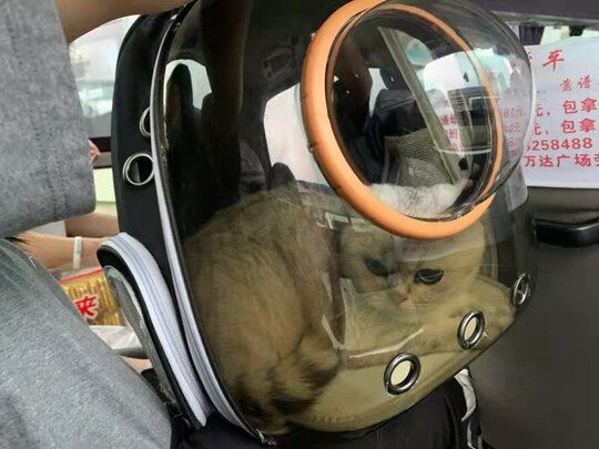 猫包