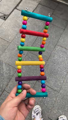 鸟笼