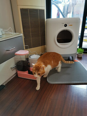 猫砂盆