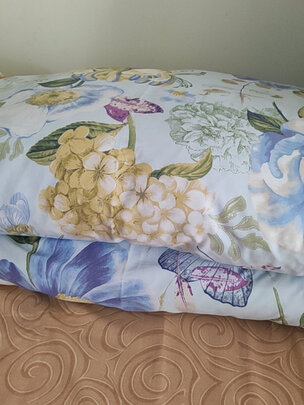 富安娜米菲尔·轻潮超柔鹅绒冬厚被 灰一个月后开始后悔了诉说原因