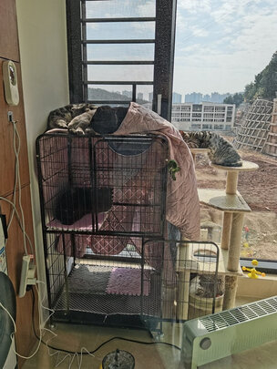  猫笼