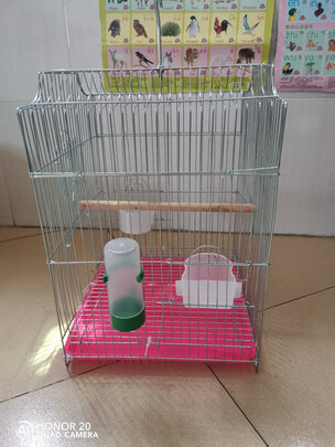 鸟笼