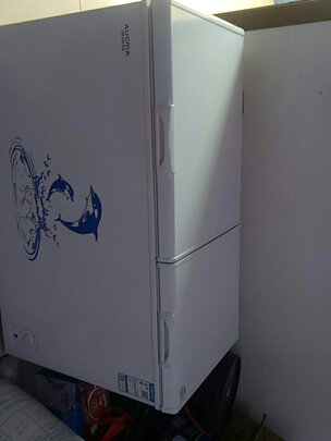 冰柜|澳柯玛BCD-257CHN冰柜怎么样？亲身体验告知你实情！