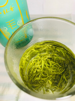 毛尖茶