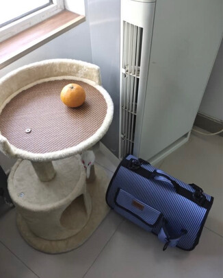 猫爬架