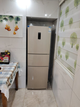 冰箱|美菱BCD-219WUE3CX冰箱独家揭秘评测真相,不看后悔!