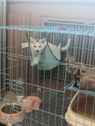  猫笼