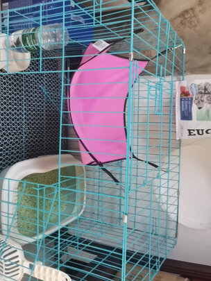  猫笼
