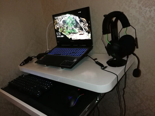 求助揭秘雷蛇（Razer）旋风黑鲨V2怎么样?一个月后质量真相
