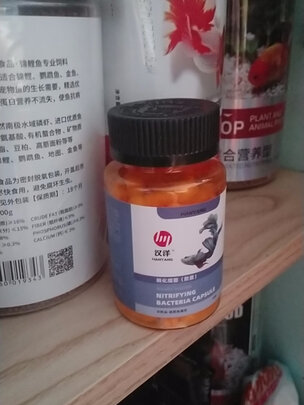鱼缸硝化细菌
