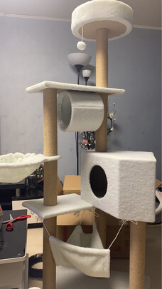 猫爬架