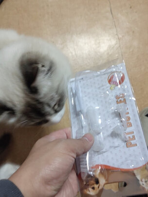 宠物奶瓶
