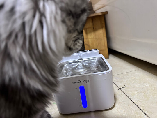 宠物饮水机