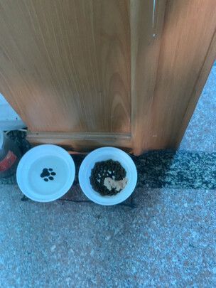 猫粮