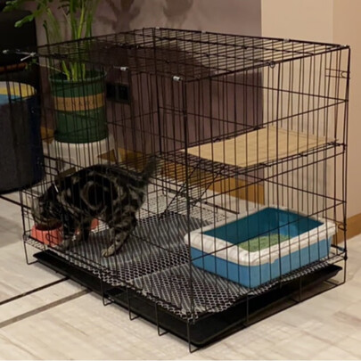  猫笼