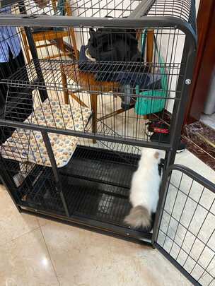 猫笼