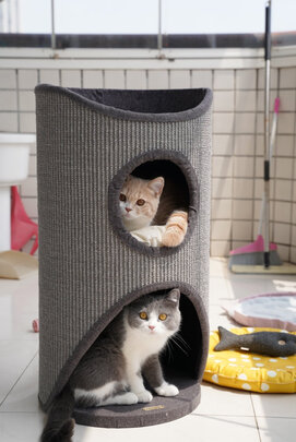 猫爬架