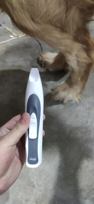  狗狗电推剪