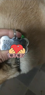 狗牌