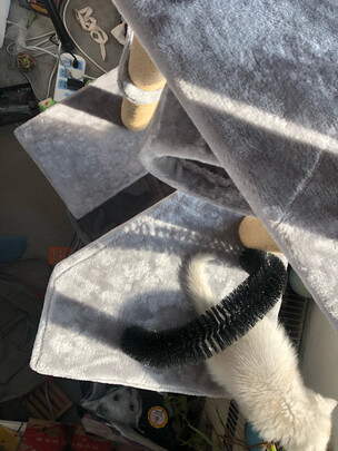 猫爬架