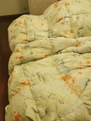 富安娜欢乐颂抗菌白鹅绒冬厚被评判质量差有依据吗？