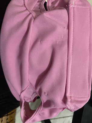 猫咪手术服