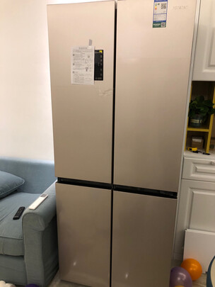 容声BCD-451WD11FP一个月后开始后悔了诉说原因