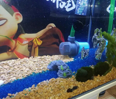 鱼缸潜水泵