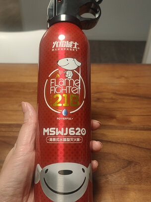 车载灭火器
