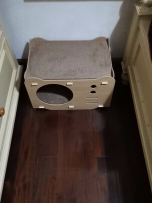 猫抓板