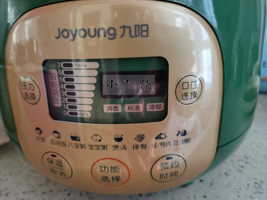 九阳Y20M-B501电压力锅|九阳Y20M-B501电压力锅到底怎么样，参数如何！