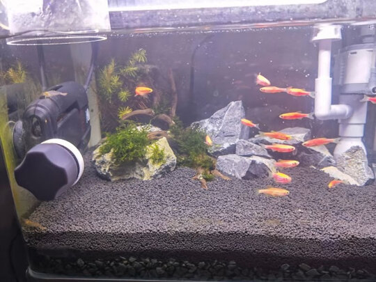 水草泥
