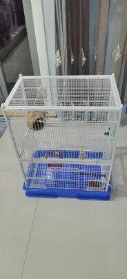 鸟笼
