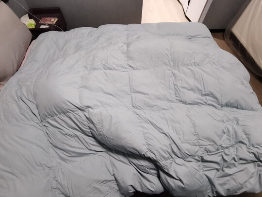 网易严选95%高纯白鹅绒羽绒被 升级防螨（前车之鉴）有必要告诉大家真相